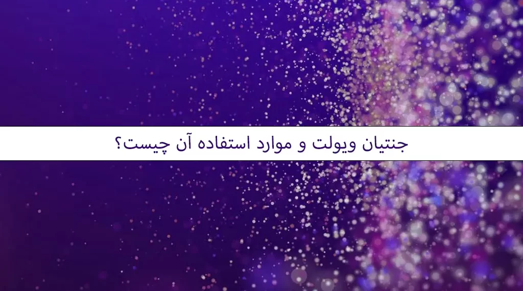 جنتیان ویولت و موارد استفاده آن