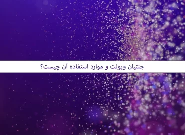جنتیان ویولت و موارد استفاده آن