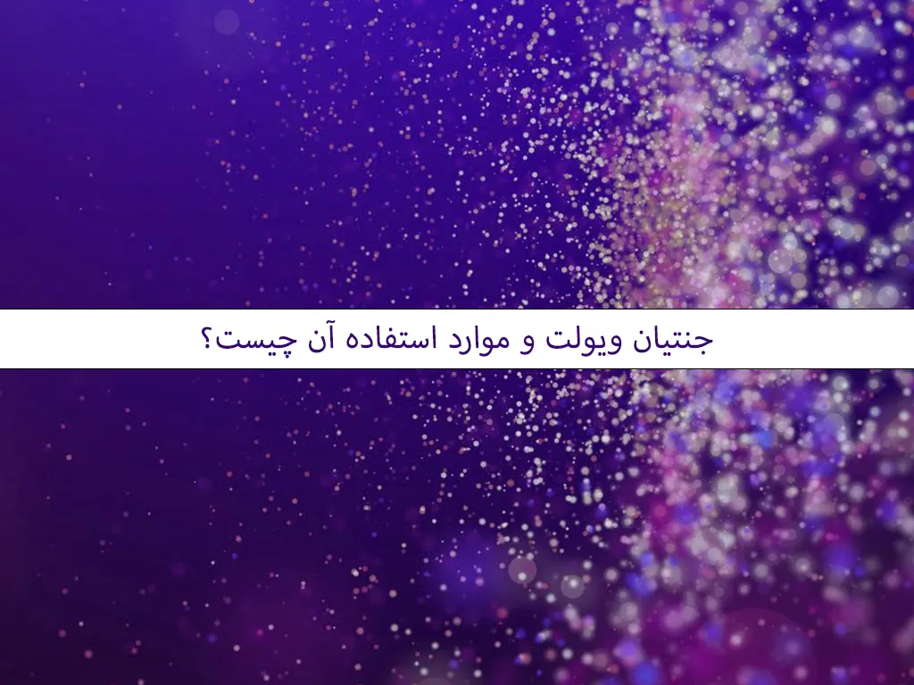 جنتیان ویولت و موارد استفاده آن