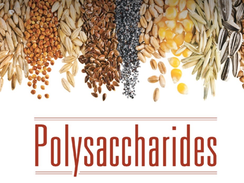 پلی ساکارید