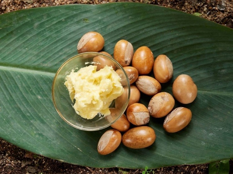 شی باتر و خواص آن