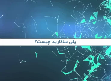 پلی ساکارید چیست؟