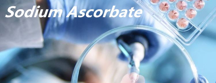 سدیم اسکوربات
