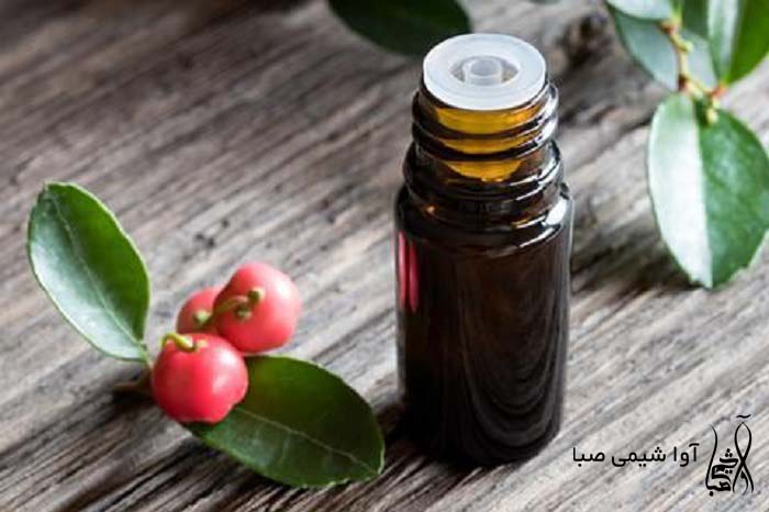 خرید متیل سالیسیلات