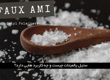 فروش ستیل پالمیتات