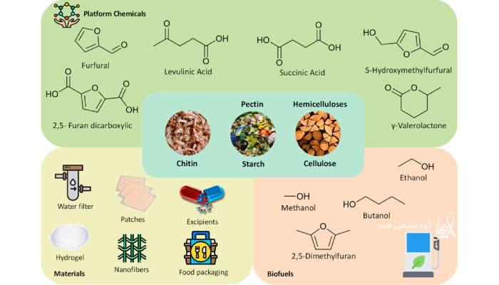 پلی ساکارید