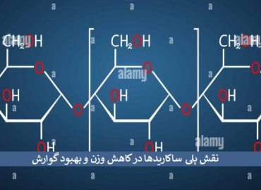 پلی ساکارید