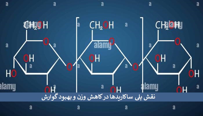 پلی ساکارید