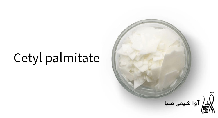 ستیل پالمیتات چیست